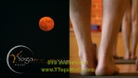 Santa Monica Moon Rise from YYM
