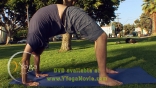 Dave Stringer from YYM