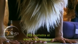 YY_Prod-Still_(01