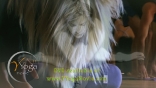 YY_Prod-Still_(01