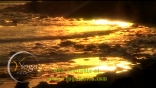 YY_Prod-Still_(01