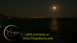 YY_Prod-Still_(02